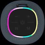 CANYON speaker BSP-8 10W Gray