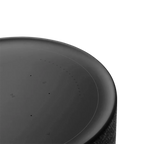 Beosound Balance Black Oak