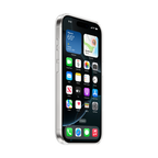 iPhone 16 Pro Clear Case with MagSafe,Model A3245