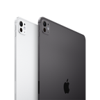 13-inch iPad Pro WiFi + Cellular 2TB with Standard glass - Silver,Model A2926