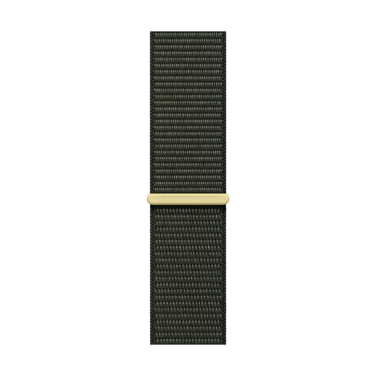 45mm Cypress Sport Loop