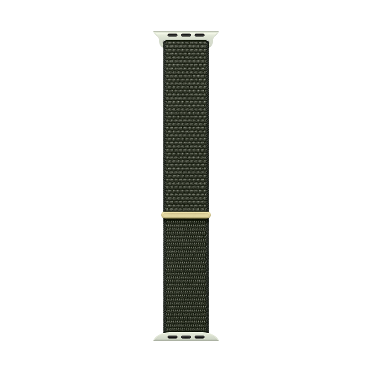 45mm Cypress Sport Loop