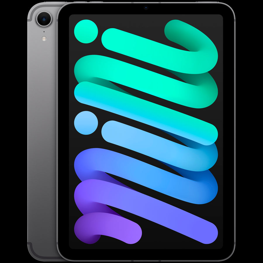 iPad mini Wi-Fi + Cellular 256GB - Space Grey,Model A2995