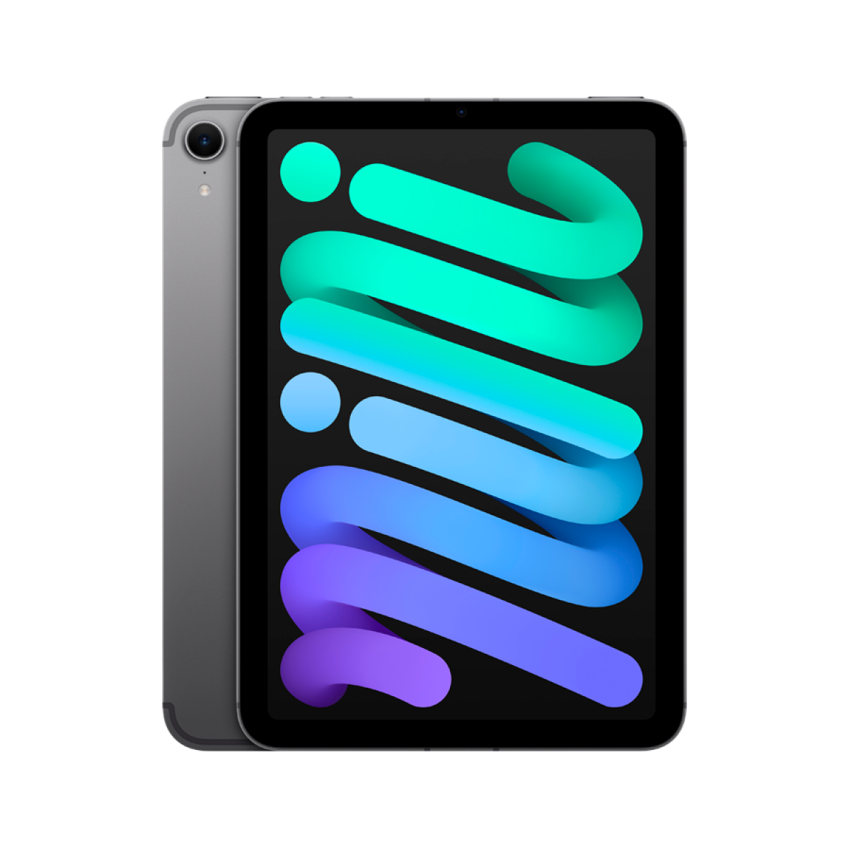 iPad mini Wi-Fi + Cellular 256GB - Space Grey,Model A2995