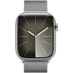 45mm Silver Milanese Loop