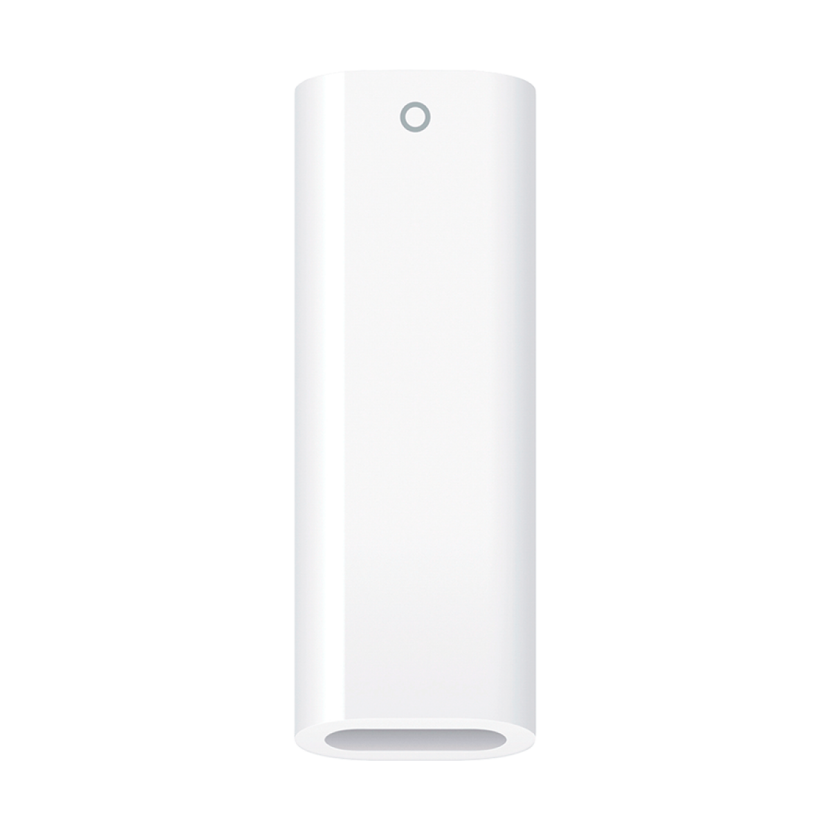USB-C to Apple Pencil Adapter, Model A2869
