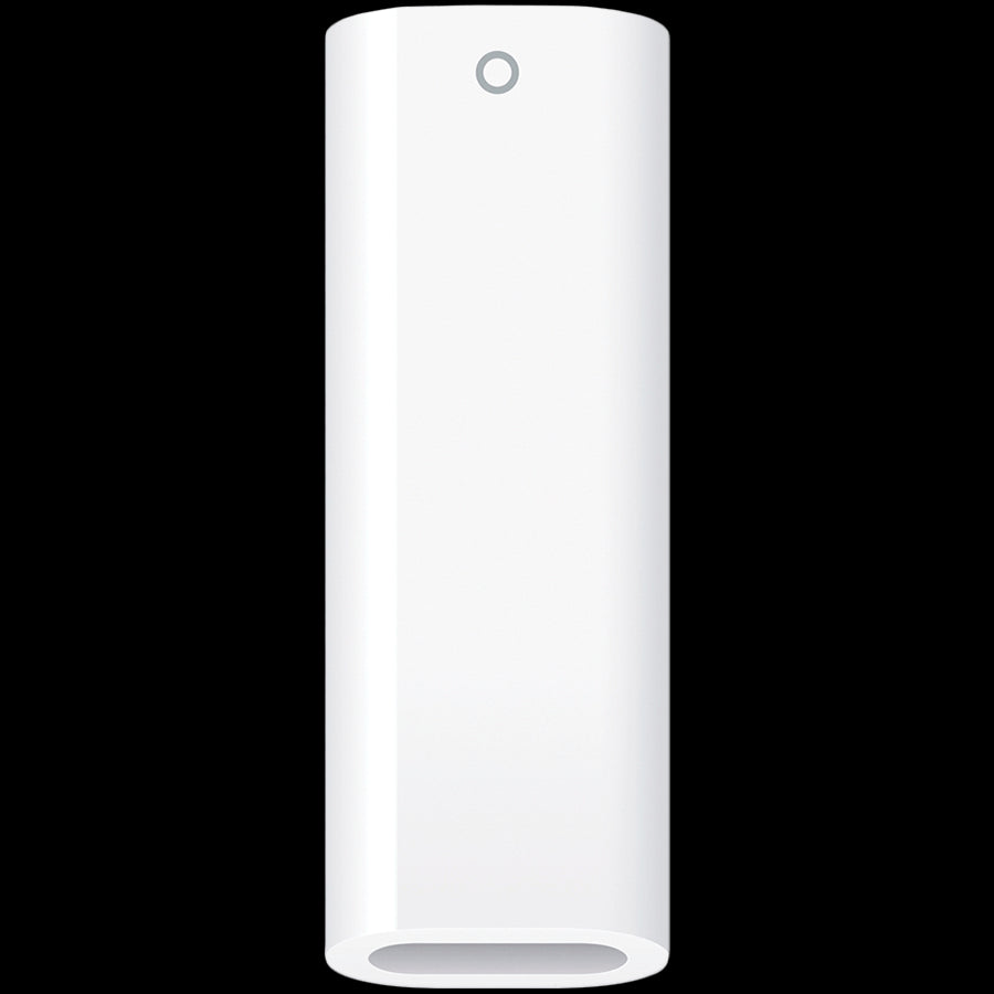 USB-C to Apple Pencil Adapter, Model A2869