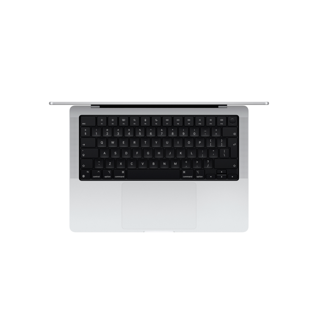 14-inch MacBook Pro: Apple M4 chip with 10_core CPU and 10_core GPU, 24GB, 1TB SSD - Silver,Model A3112