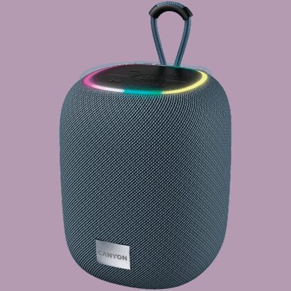 CANYON speaker BSP-8 10W Gray