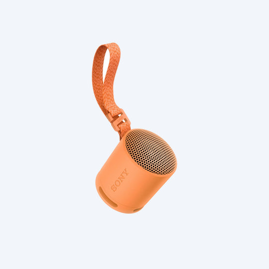 Sony SRS-XB100 Portable Wireless Speaker - Image 2