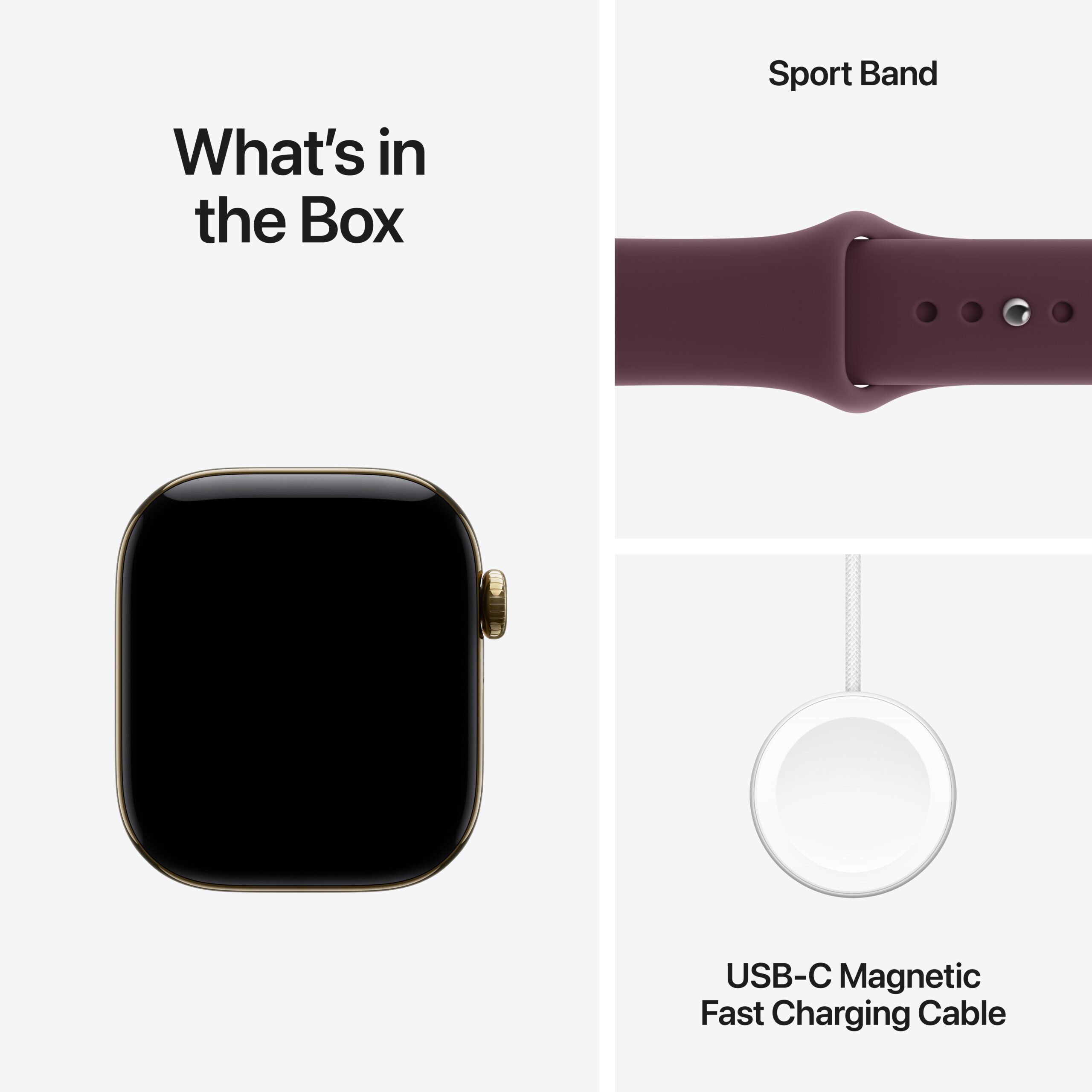 Apple Watch Series 12 GPS + Cellular 42mm Radiant Gold Titanium Case with Burgundy Sport Band - S/M - Image 8